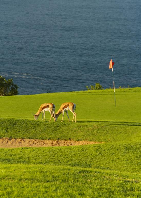Mossel Bay Golf Lodge Екстериор снимка